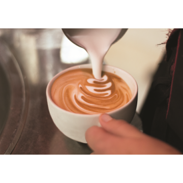Profesjonalny ekspres do kawy 1 kolbowy | Autosteamer | Carat 1GR